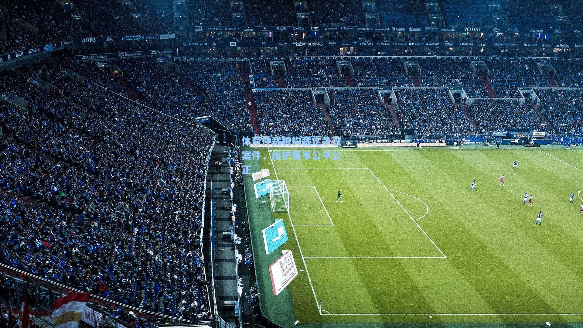 体育仲裁机构裁定争议案件，维护赛事公平公正