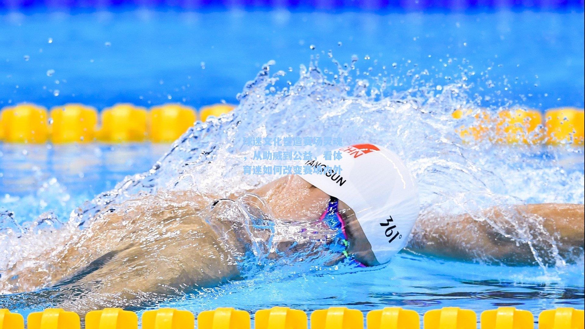 球迷文化塑造赛场灵魂，从助威到公益，看体育迷如何改变赛场内外