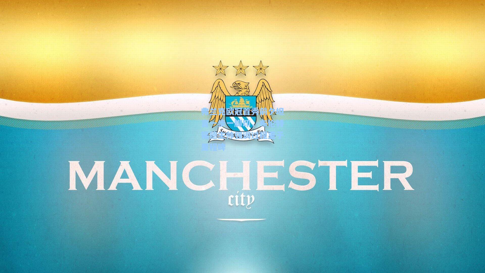 弗兰克欧冠首秀前夕坦言一步一脚印，布伦特福德主帅强调过程重于里程碑